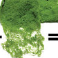JTT Scenery Products 92023 N 1.5"-3" Professional Sycamore Trees (Pack of 16)