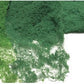 JTT Scenery Products 92022 HO DECIDUOUS 2.5-4" 10PK