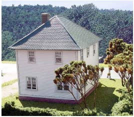 Branchline Trains 621 The Albion Catalog House - Laser-Art