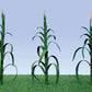 JTT Scenery Products 95553 O Scale 2" Height Corn Stalks (Pack of 28)