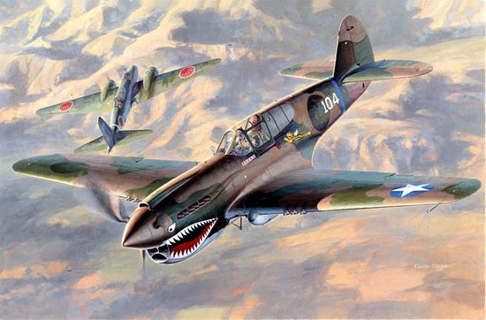 Hasegawa 09086 1:48 Curtiss P40E Warhawk U.S. Army AF Fighter Military Plane Kit