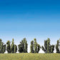 Faller 181468 HO 6 Shrubs