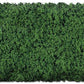 Scenic Express EX806C Coarse Grass Green Flock & Turf - 64 Oz. Gripper Jug
