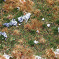 Faller 180475 HO/TT/N PREMIUM Countryside Segment (Forest Floor)