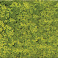 Heki 1550 Light Green 11 x 5-1/2 27.9 x 14 cm Foliage Pad