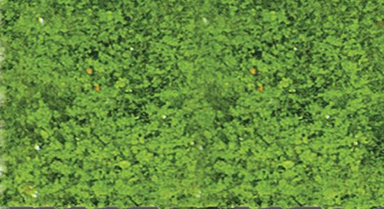 Heki 1554 Foliage Pad - 11" x 5-1/2