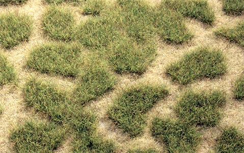 Heki 1842 17-1/2" x 6-1/2" Summer Tuftgrass Pad