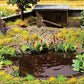 Noch 14052 HO Water & Riverside Plants