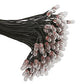 Cir-Kit Concepts 10101822 Bulb GOR w/8" blk 100/