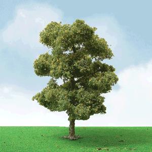 JTT Scenery Products 92407 Pro-Elite European Plane Trees 6