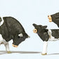 Preiser 10145 HO Animals - Black & White Cows Figures (Set of 6)