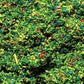 Faller 170710 Meadow Green Scatter Material Ground Cover - 1oz