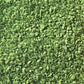 Noch 7142 Leaves - 1-3/4oz 50g Light Green