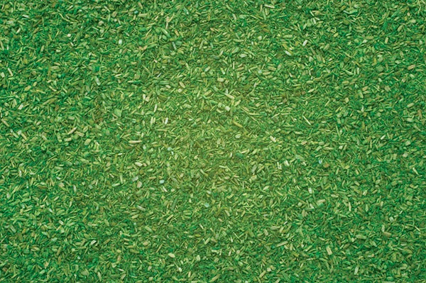 Noch 8410 Scatter Material Light Green 42g
