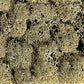 Noch 8600 Lichen Stone Gray 28.3g