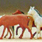 Preiser 79150 N Assorted Horses Figures (Set of 6)