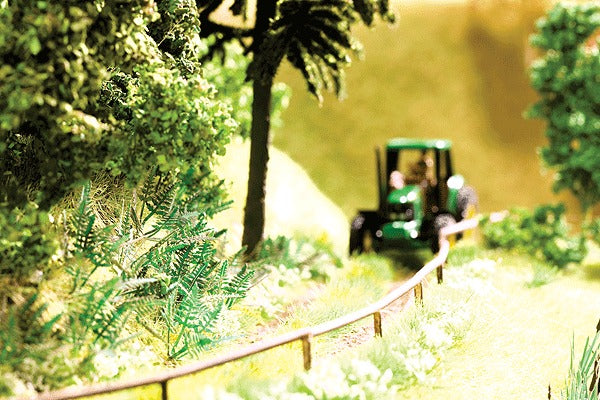 Noch 14606 N Fern Plants (18)
