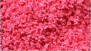 Scenic Express 653-6522 Pink Peony Flowering Blossom SuperLeaf - 16 oz. Shaker