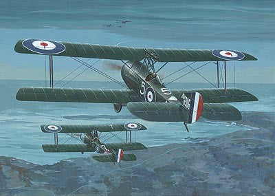Roden Models 407 1:48 Sopwith 1-1/2 Strutter Comic Military Aircraft Plane Kit
