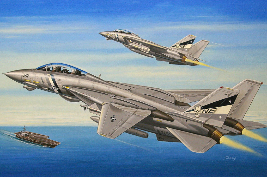 Hobby Boss Models 80278 1:72 Grumman F-14D Super Tomcat Military Plane Kit