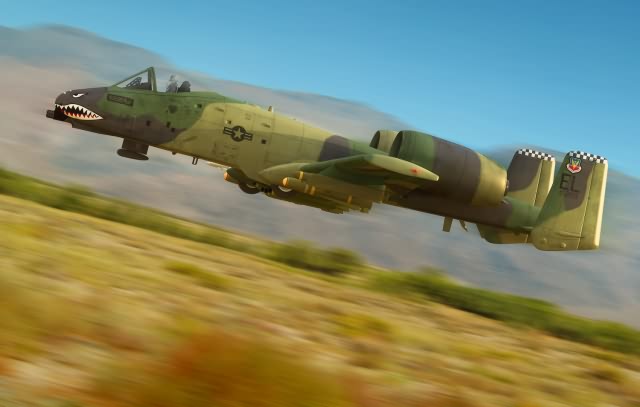 Hobby Boss Models 80323 1:48 Fairchild-Republic A-10 Thunderbolt II Plane Kit