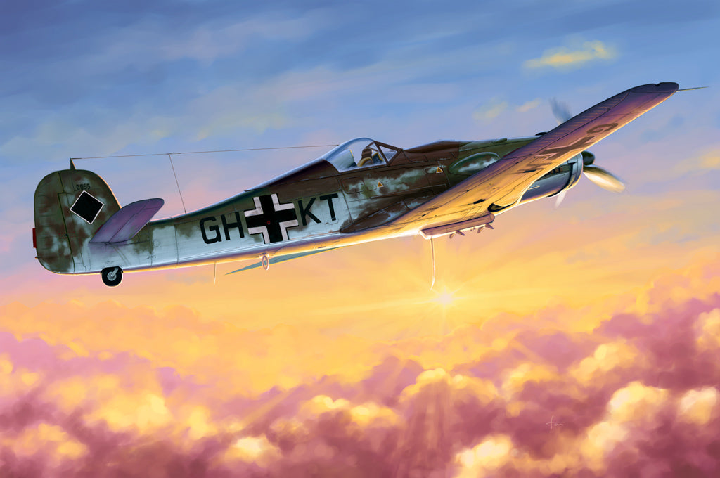 Hobby Boss Models 81717 1:48 Focke-Wulf Fw 190D-10 Military Aircraft Plane Kit