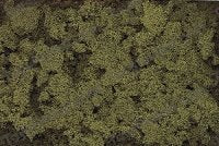 Woodland Scenics T35 Burnt Grass Extra Coarse Turf 18 Cu. In. Bag