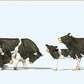 Preiser 10145 HO Animals - Black & White Cows Figures (Set of 6)