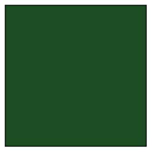 Tru-Color 023 Railroad Color Acrylic Paint CP Action Green - 1 oz. Bottle