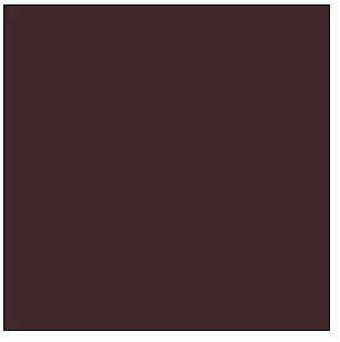 Tru-Color 2011 Railroad Color Acrylic Paint Boxcar Brown - 2 oz. Bottle