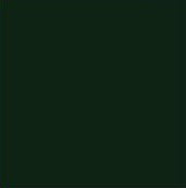 Tru-Color 2322 Railroad Color Acrylic Paint CNSM Green - 2 oz. Bottle