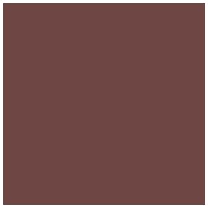 Tru-Color 165 Railroad Color Acrylic Paint Illinois Central Brown - 1 oz. Bottle