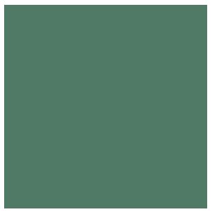 Tru-Color 154 Railroad Color Acrylic Paint SP Moss Green - 1 oz. Bottle
