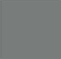 Tru-Color 843 Brushable Paint Flat Union Pacific Harbor Mist Gray - 1 oz. Bottle