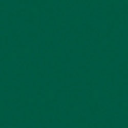 Tru-Color 062 Railroad Color Acrylic Paint BNSF Green - 1 oz. Bottle