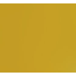 Tru-Color 144 Railroad Color Acrylic Paint Erie-Lackawanna Yellow - 1 oz. Bottle