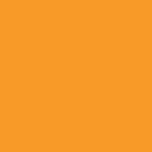 Tru-Color 309 Railroad Color Acrylic Paint FEC “Old Scheme” Yellow - 1oz. Bottle