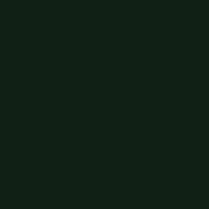Tru-Color 322 Railroad Color Acrylic Paint CNSM Green - 1 oz. Bottle