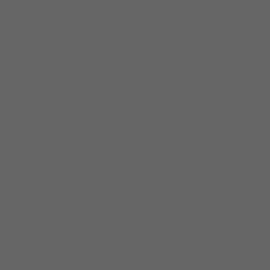 Tru-Color 331 Railroad Color Acrylic Paint Burlington Gray #3 1 oz. Bottle