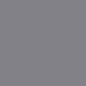Tru-Color 533 Automobile Color Acrylic Paint Bright Silver - 1 oz. Bottle