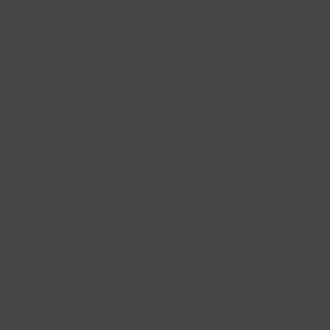 Tru-Color 804 Brushable Paint Flat Grimy Black - 1 oz. Bottle