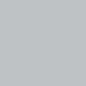 Tru-Color 811 Brushable Paint Flat Aluminum - 1 oz. Bottle