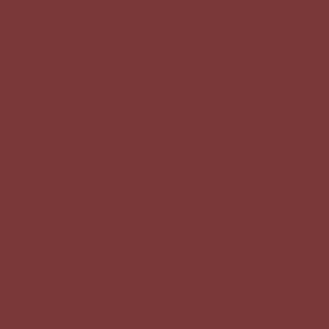 Tru-Color 815 Brushable Paint Flat Oxide Brown - 1 oz. Bottle