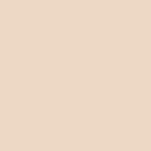 Tru-Color 818 Brushable Paint Flat Light Tan - 1 oz. Bottle