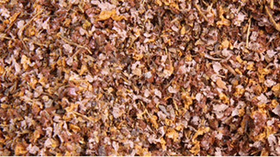 Scenic Express 653-6622 Leaf Litter SuperLeaf -  16 oz. Shaker