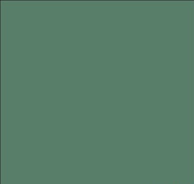 Tru-Color 1217 Military Acrylic Aircraft FS-34092 Gunship Green 1 oz. Bottle