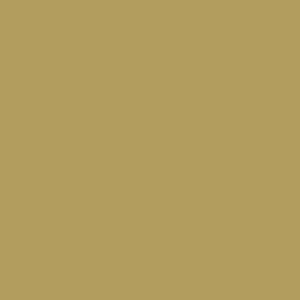 Tru-Color 1405 Military Armament Acrylic Paint FS-30277 MERDC Sand - 1oz. Bottle