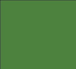 Tru-Color 1410 Military Armament Acrylic Paint FS-34094 NATO Green - 1oz. Bottle