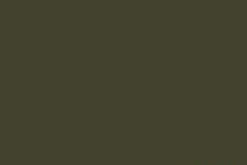 Tru-Color 034 Railroad Color Acrylic Paint Canadian National Green - 1oz. Bottle