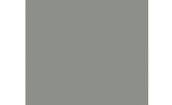 Tru-Color 855 Brushable Paint Flat Weathered Gray Wood - 1 oz. Bottle